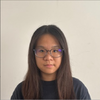 Screenshot 2025-04-29 174246